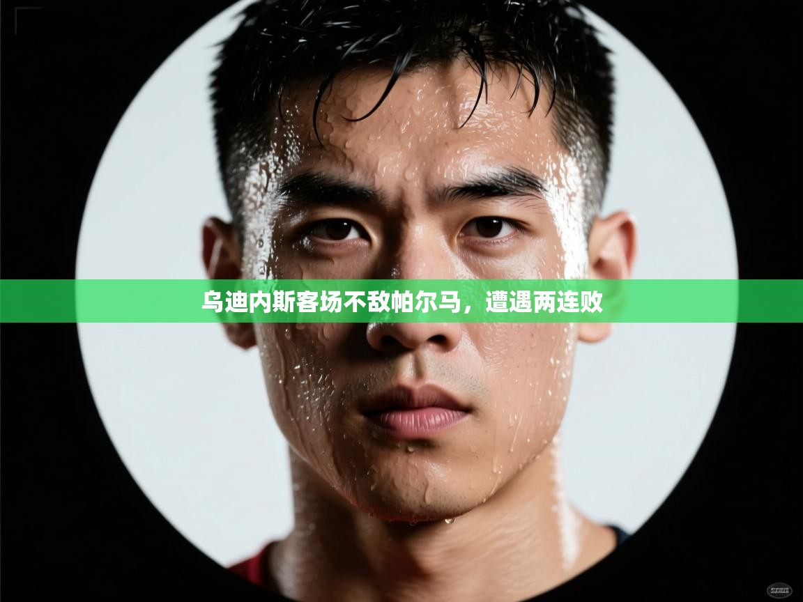 乌迪内斯客场不敌帕尔马,遭遇两连败 第2张