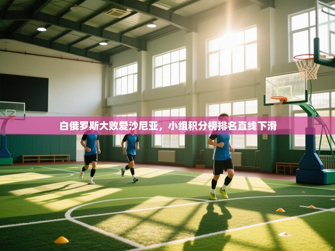 白俄罗斯大败爱沙尼亚，小组积分榜排名直线下滑  第2张