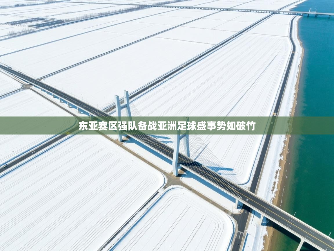 东亚赛区强队备战亚洲足球盛事势如破竹  第2张